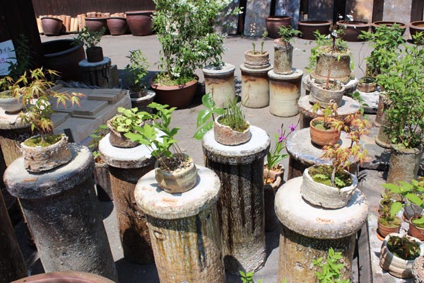 自然と調和する伊賀焼の植木鉢 | tablinnews