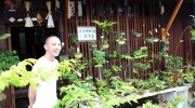 京都市上京区にある盆栽店　ふくわか洞が主催する 盆栽作りのワ […]
